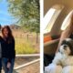 Brandon Fugal Wife