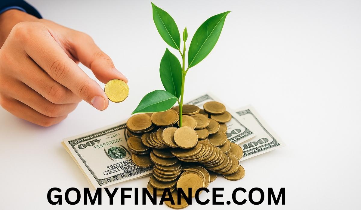 gomyfinance.com