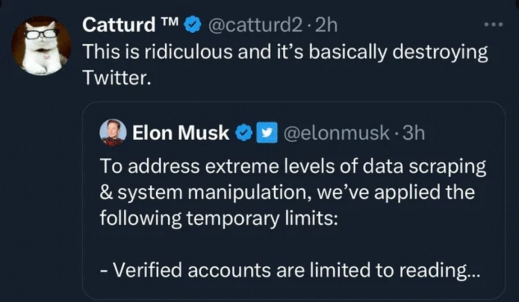 Catturd Twitter