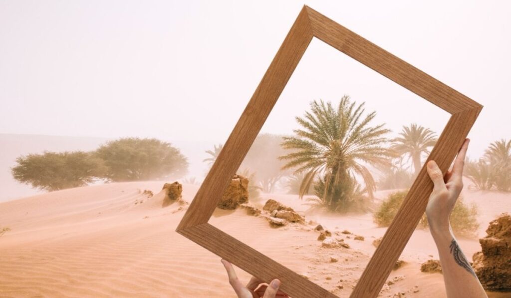 Surbyrobwnv6hmvrwi5wol 