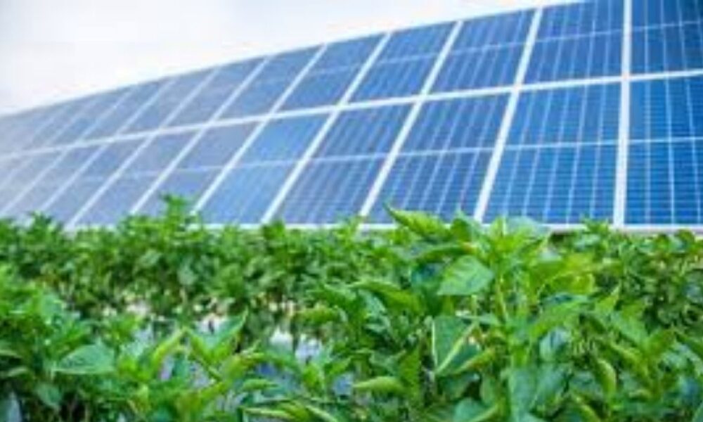 Solar Panels TEAS Passage