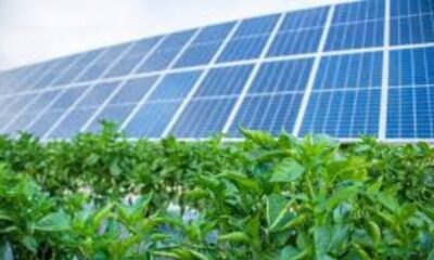 Solar Panels TEAS Passage